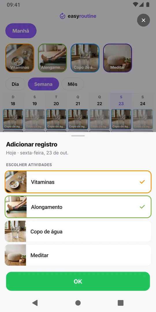 A janela Adicionar registro do EasyRoutine com duas atividades marcadas e o botão OK