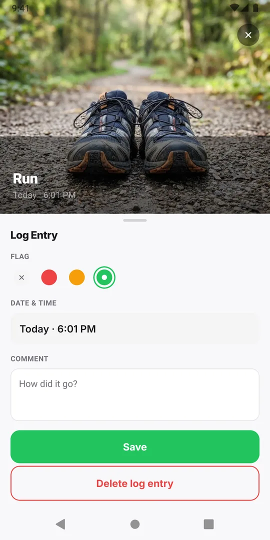 The EasyRoutine Log Entry sheet with the green flag selected