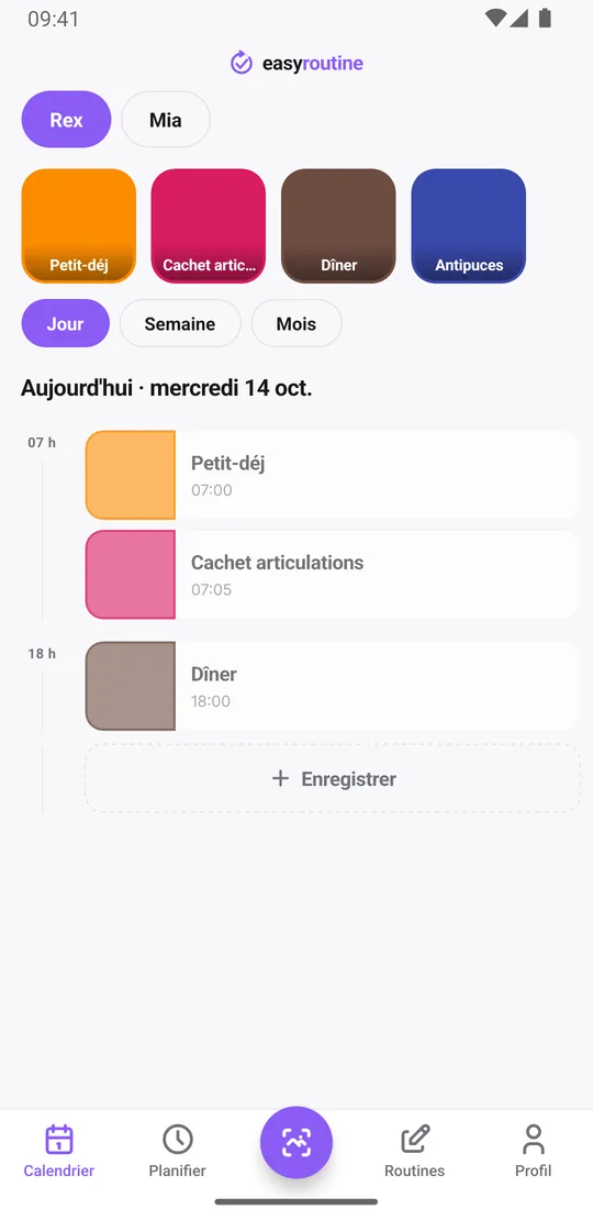 Vue Jour de la routine Rex dans EasyRoutine : petit-déj et cachet articulations enregistrés en cartes pleines, le dîner encore affiché en entrée prévue pâle